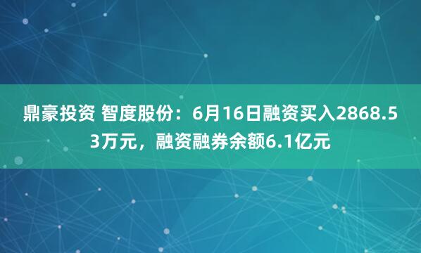 鼎豪投资 智度股份：6月16日融资买入2868.53万元，融资融券余额6.1亿元